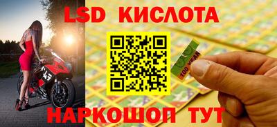 эйфоретик Аргун