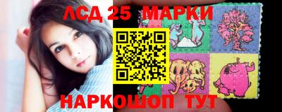 прущие грибы Будённовск