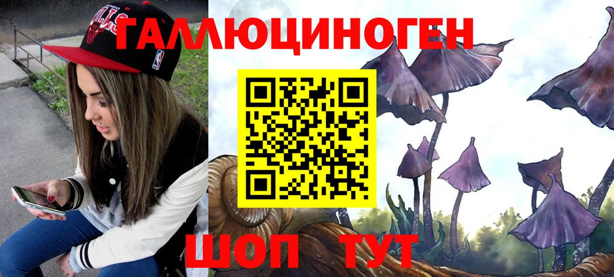 Галлюциногенные грибы MAGIC MUSHROOMS  Вход с VPN  Псилоцибиновые грибы Cubensis  Белово 
